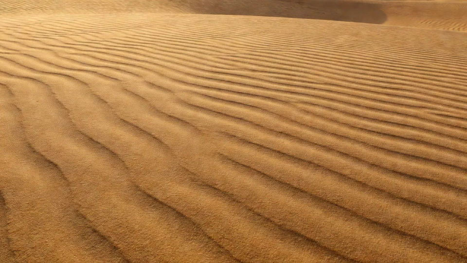 Large dune or scene fill