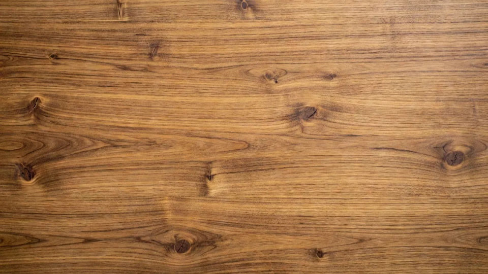 Overhead flat-lay surface