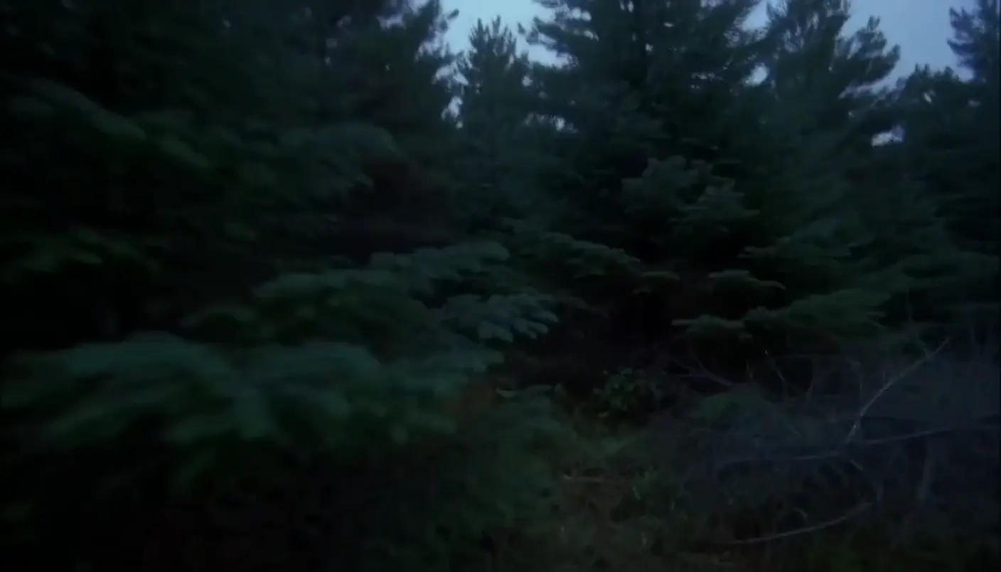 Found footage shot: The Run Through the Woods