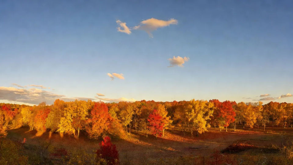 Dual-monitor panorama