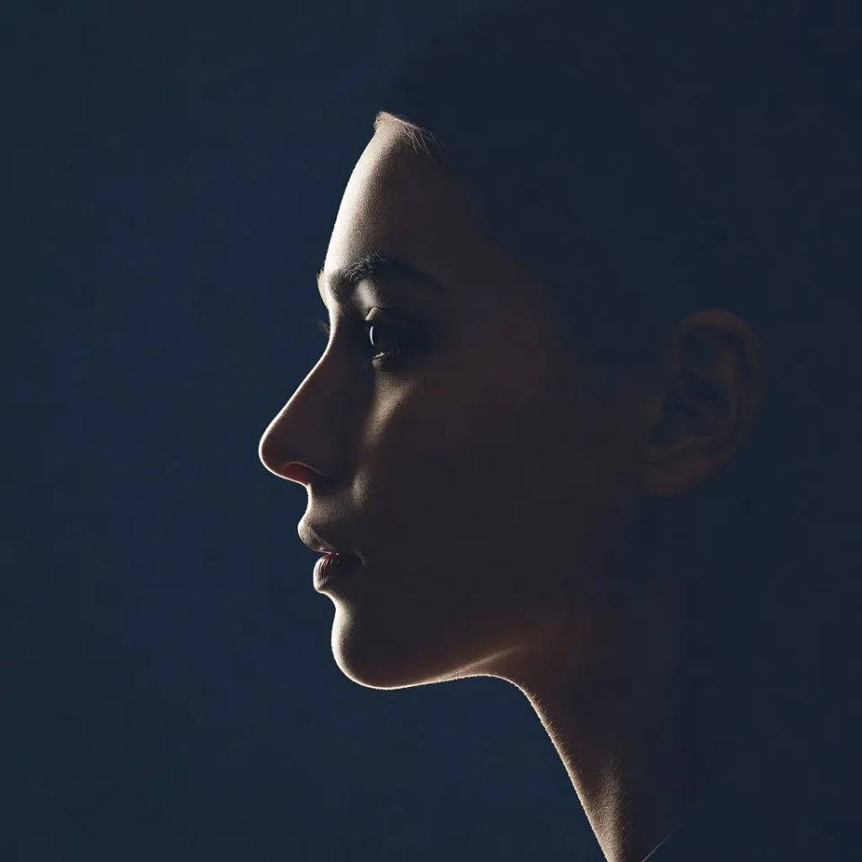 Side-profile silhouette crop