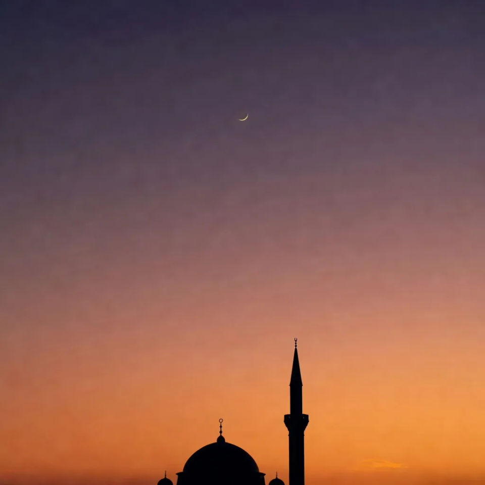 Dusk-sky silhouette crop
