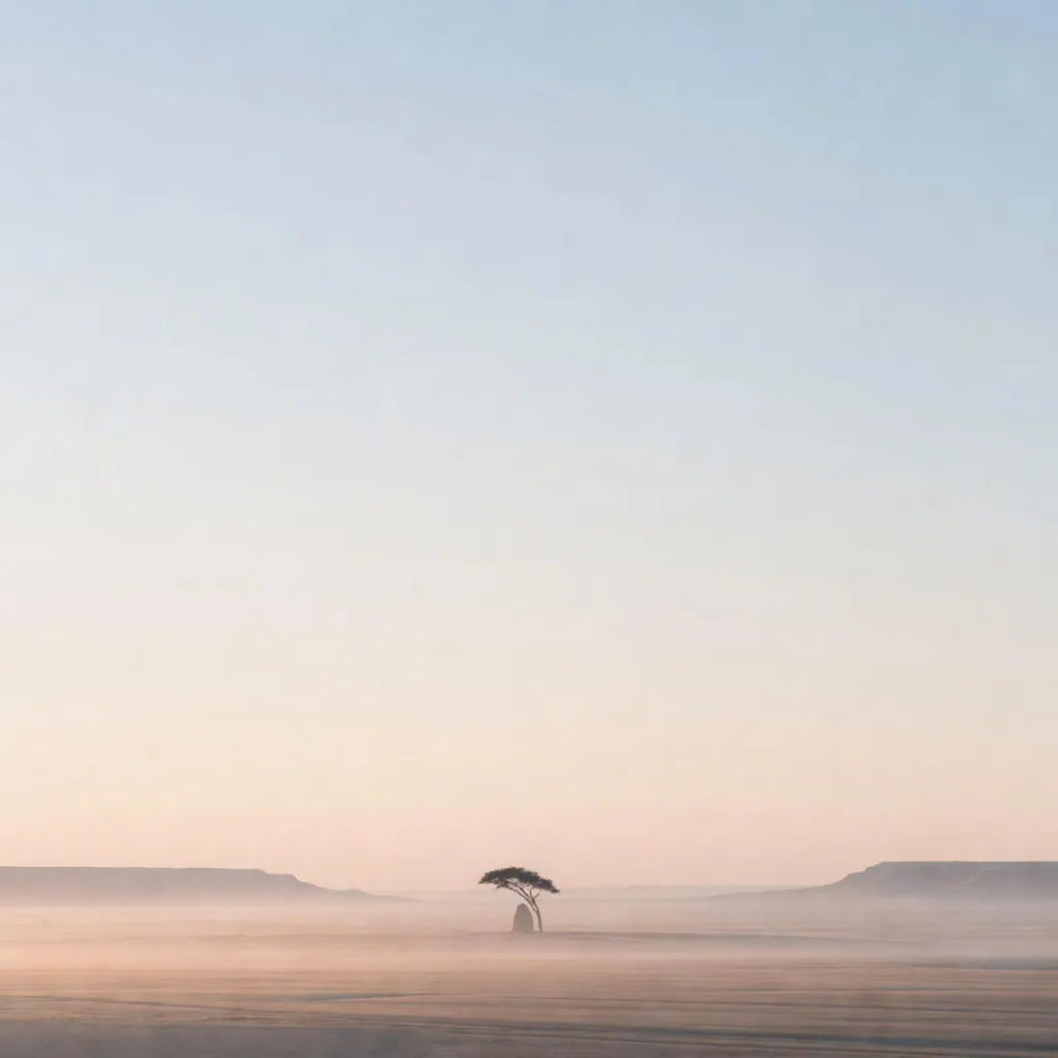 Horizon-line crop