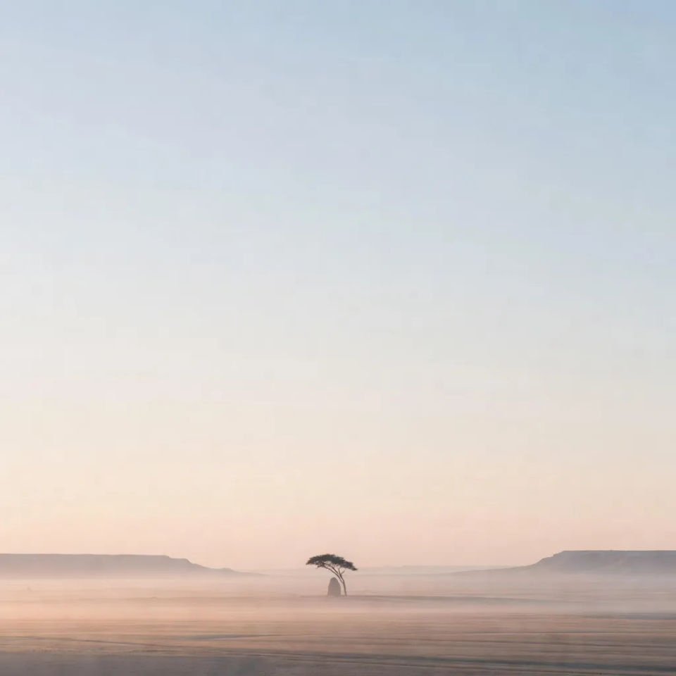 Horizon-line crop