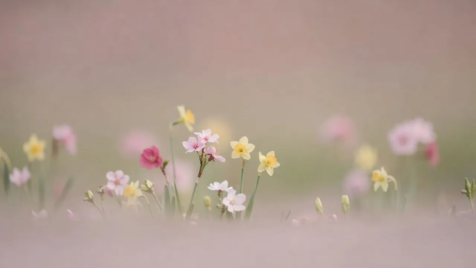 Presentation background