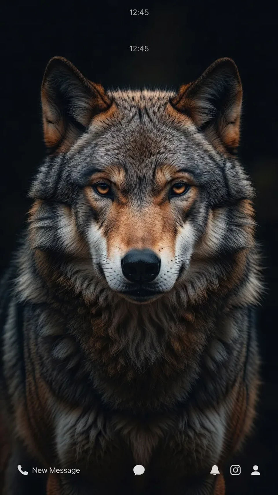 Phone lock screen
