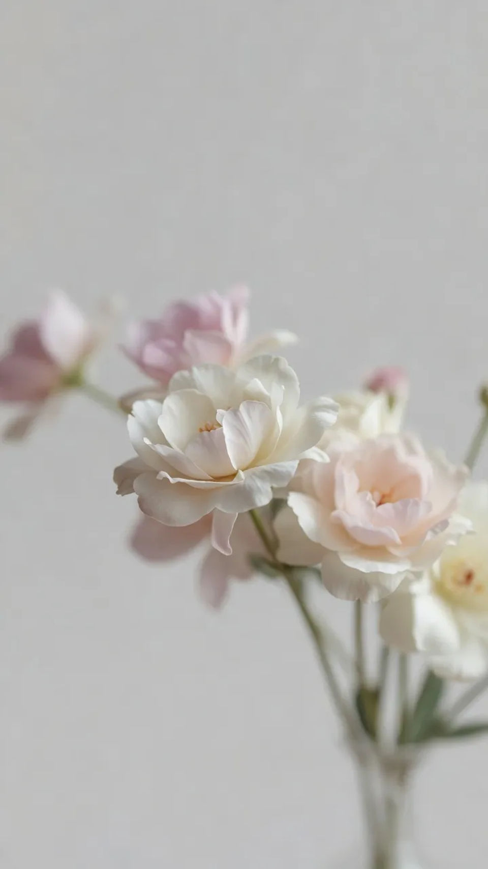 Presentation background