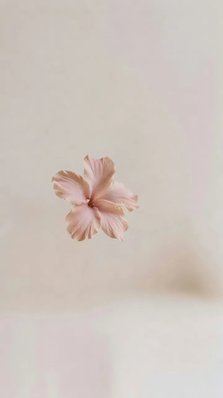 Presentation background