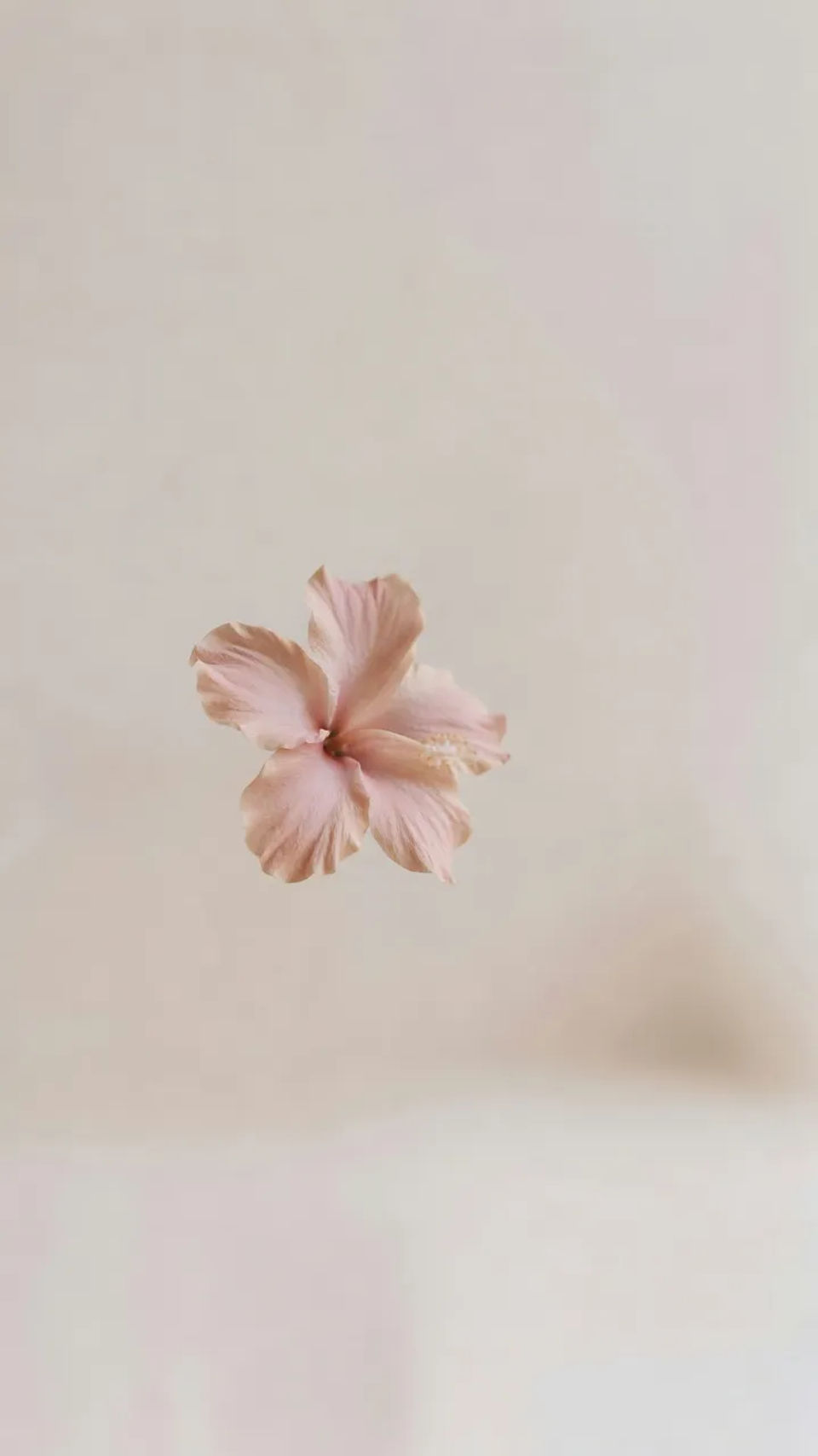 Presentation background