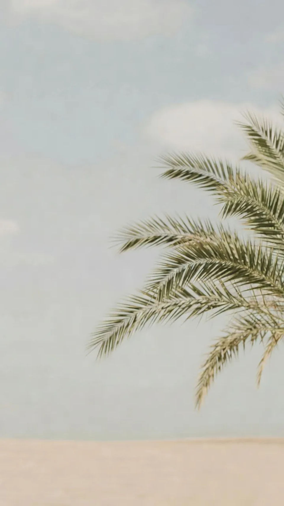 Presentation background