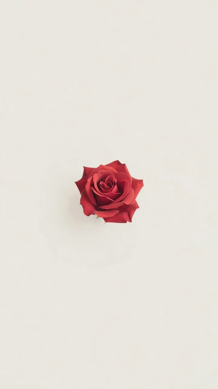 Presentation background
