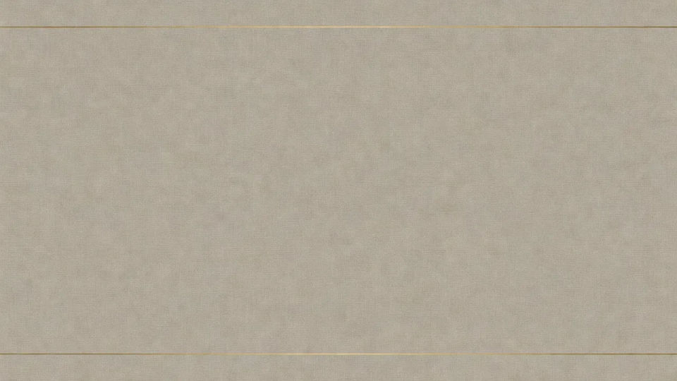 Presentation background
