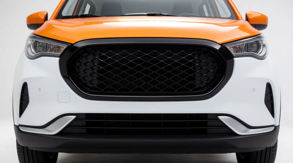 Front facing head-on