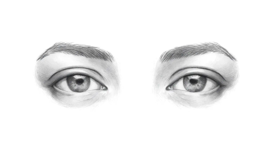 Pair of eyes facing forward