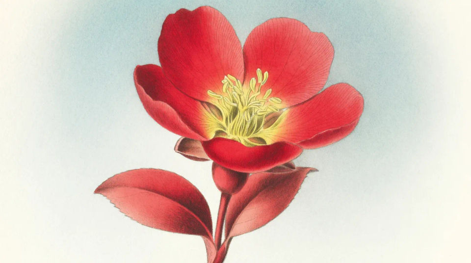 Single flower focal point
