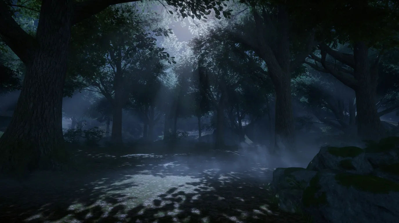 Forest nighttime scene