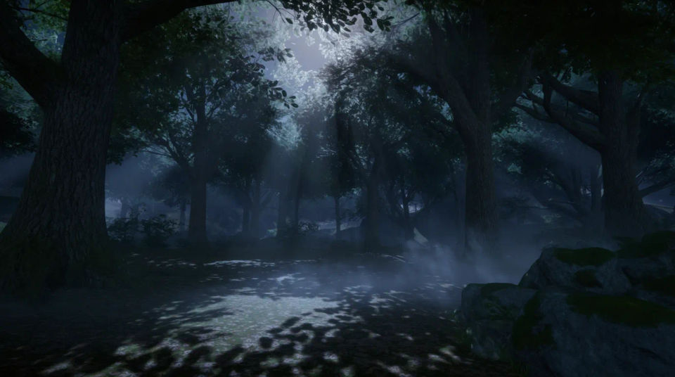 Forest nighttime scene