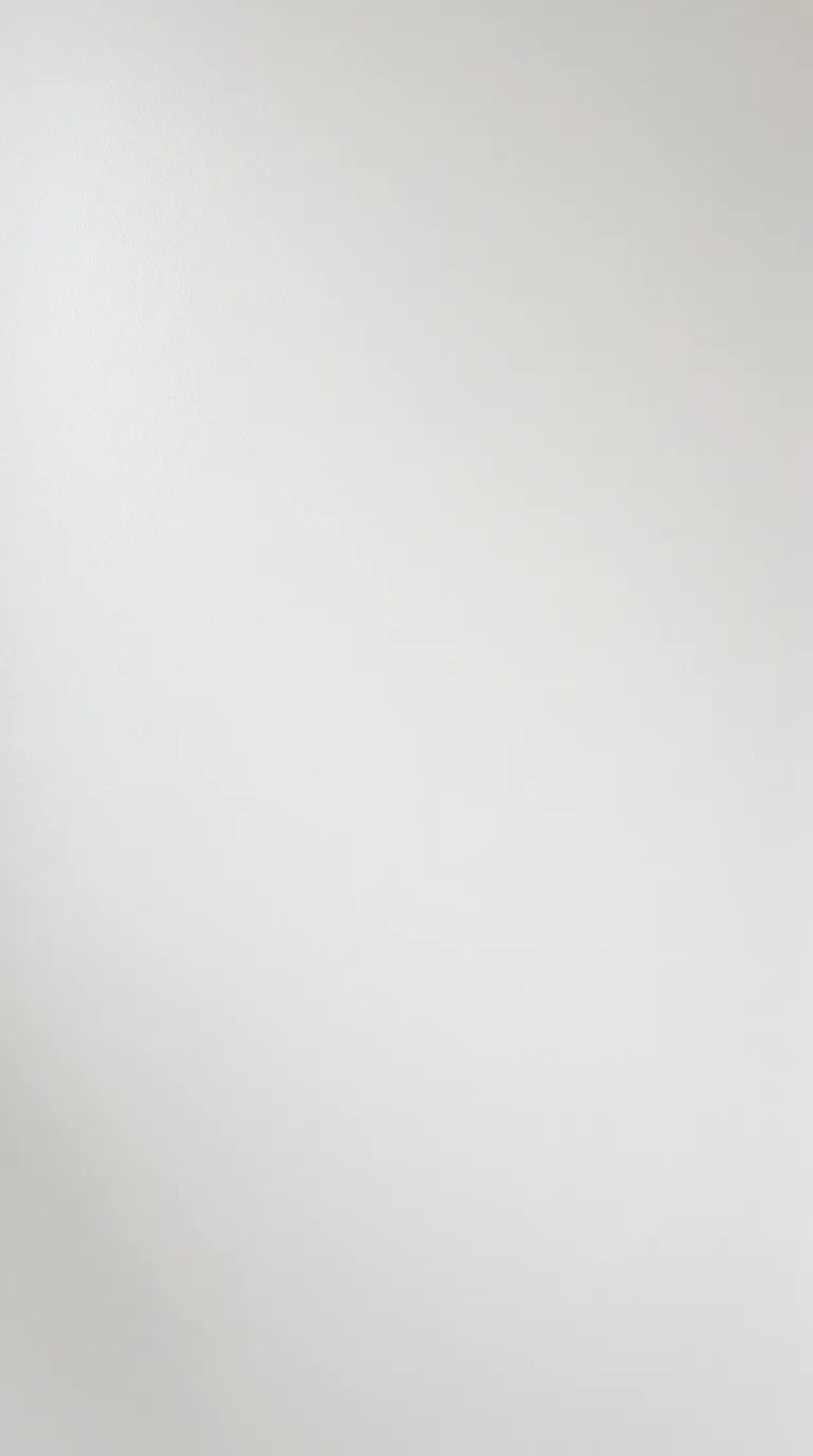 Plantilla profesional en blanco