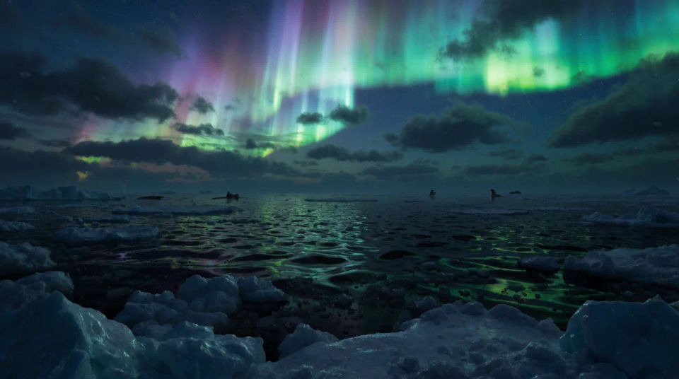 Aurora über arktischer See