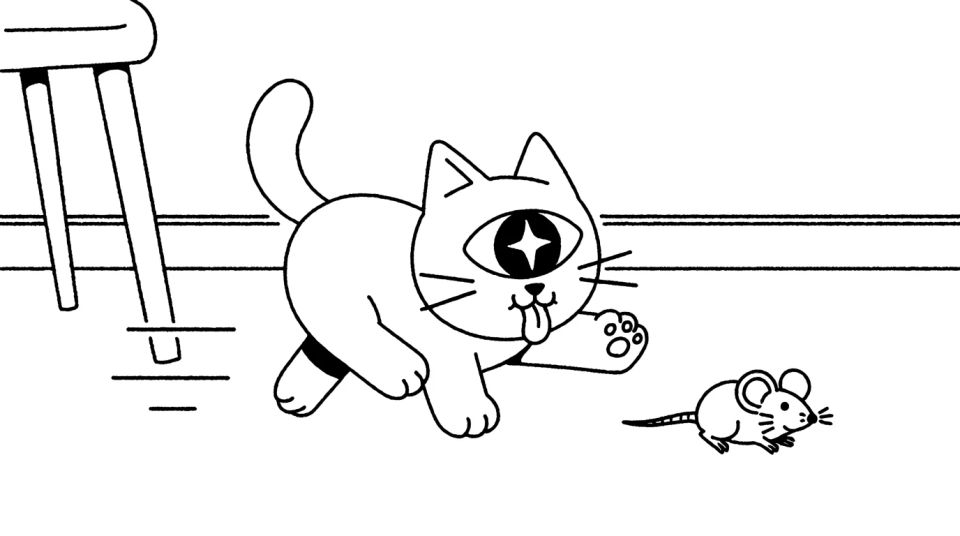Cat and mouse chase