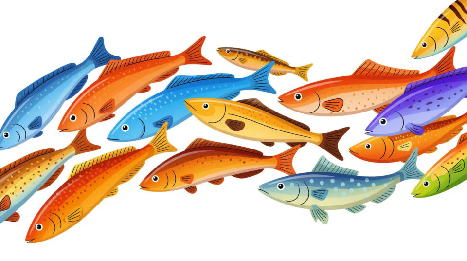 School of fish swimming together