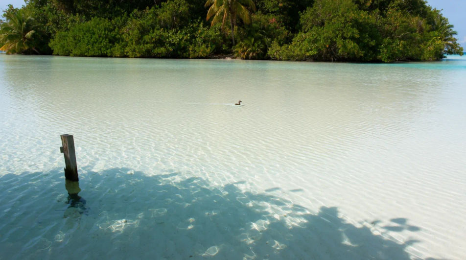 Lagoon tranquility