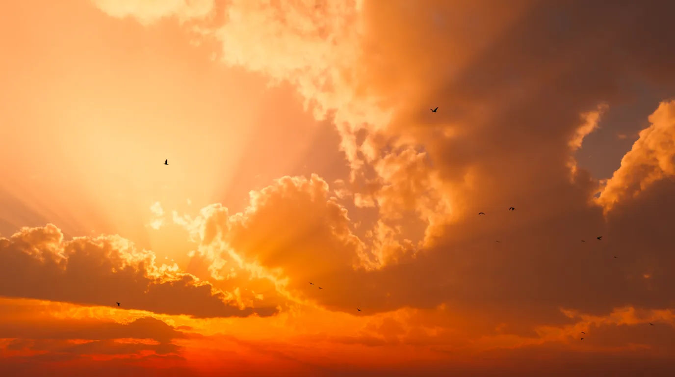Sunrise fire landscape