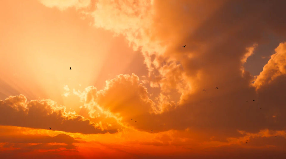 Sonnenaufgangs-Feuerlandschaft