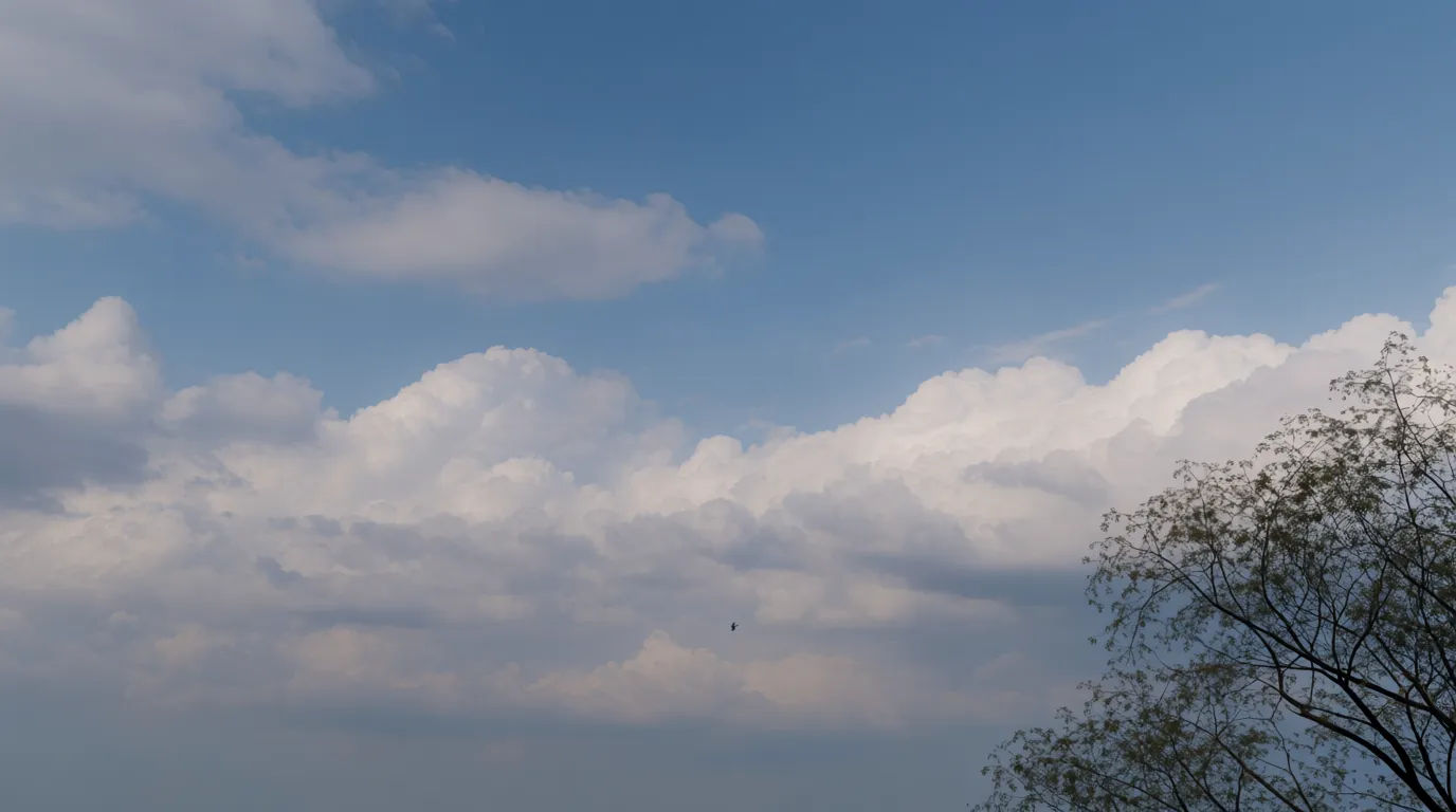 Open sky panorama