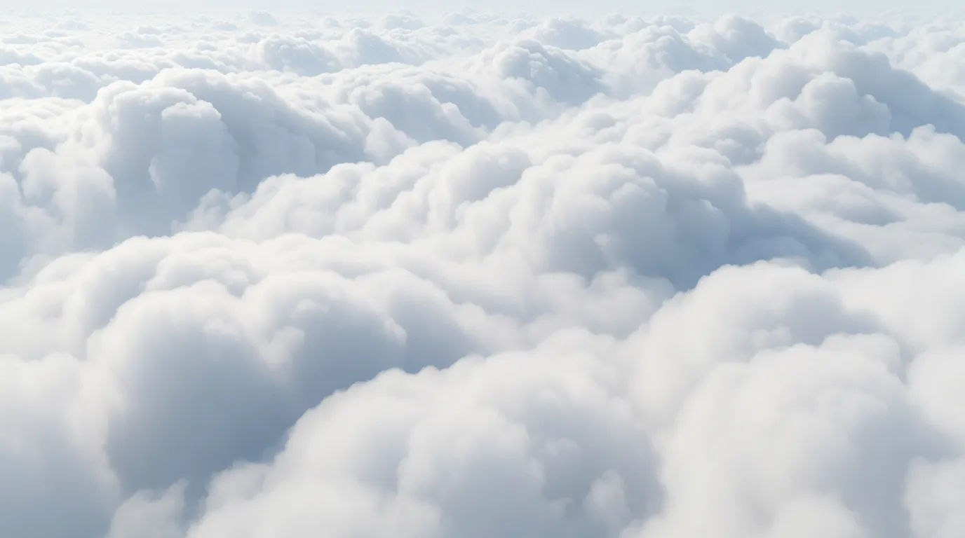 Above the clouds
