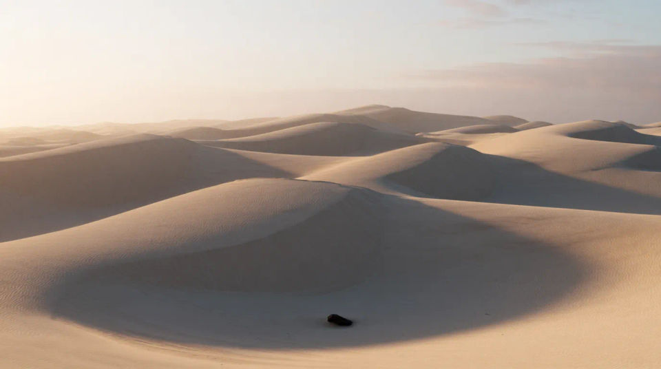 El desierto se encuentra con la ciudad