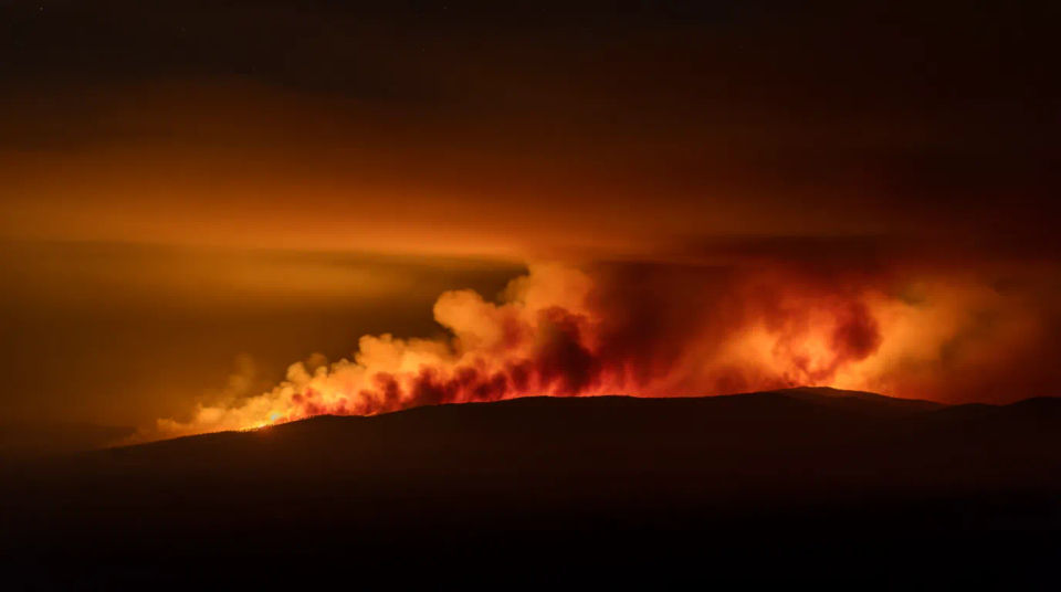 Cresta de incendio forestal en plano amplio
