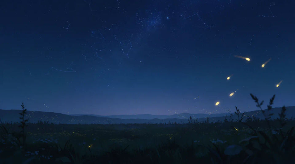 Fireflies over meadow