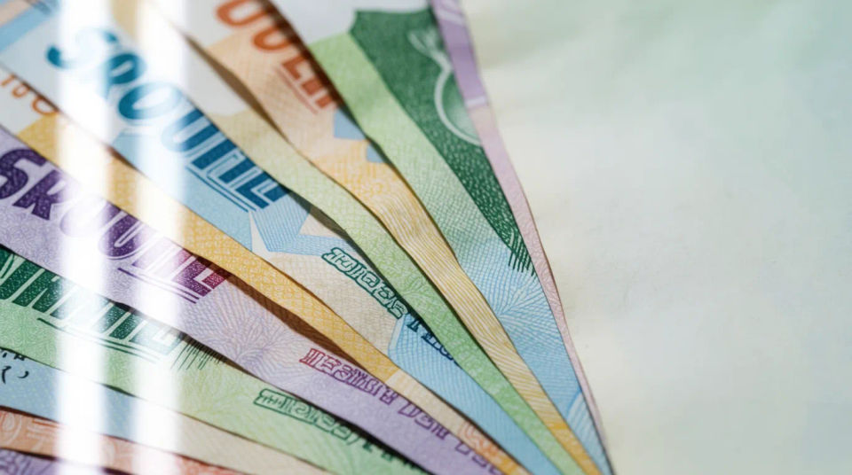 Banknoten-Panorama