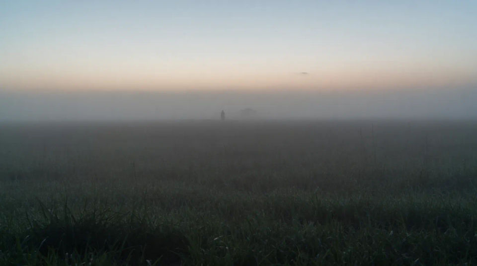 Foggy field alone