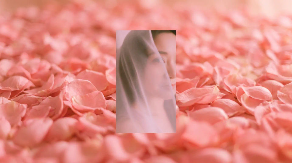 Rose petal spread