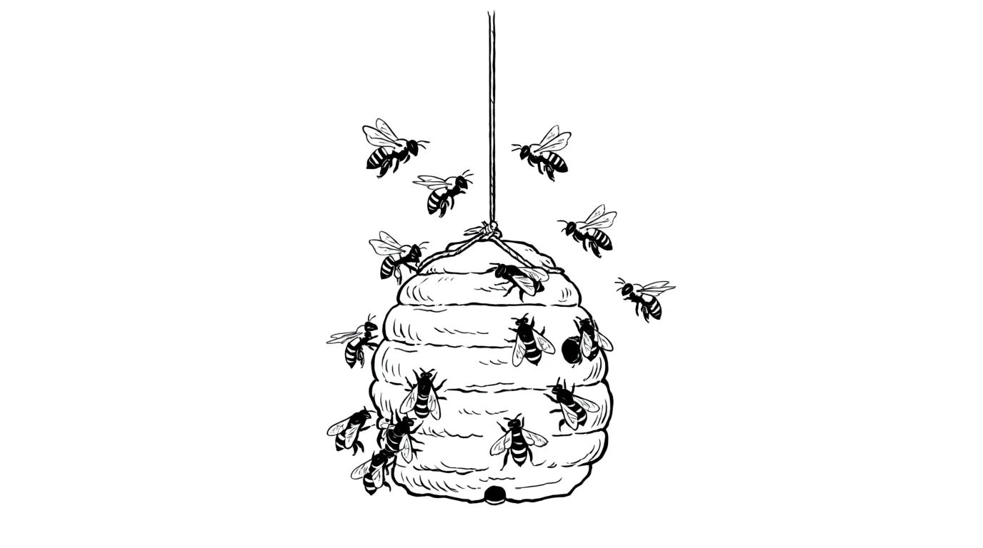 Bees at the hive