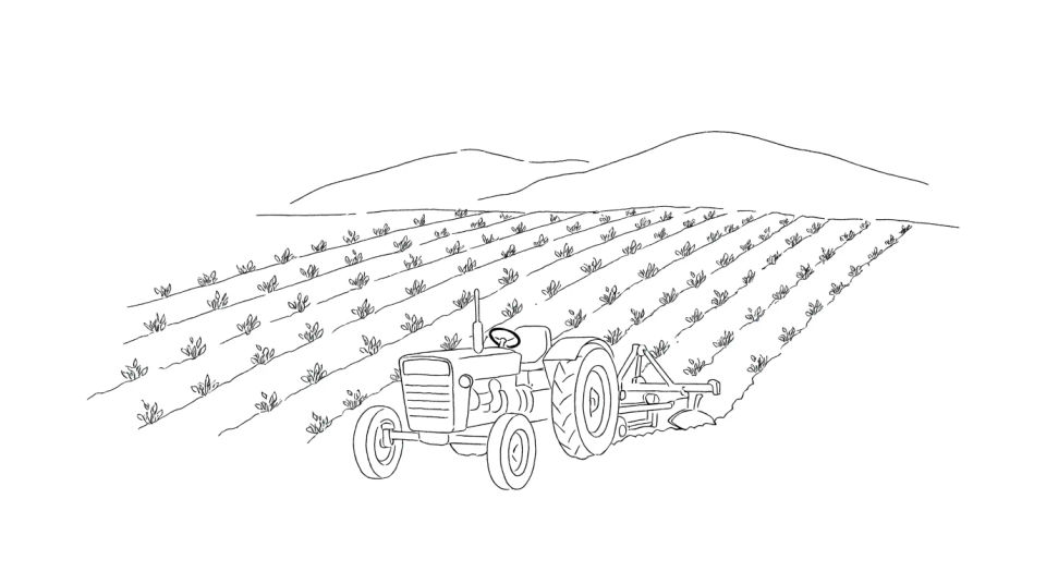 Tractor in the field