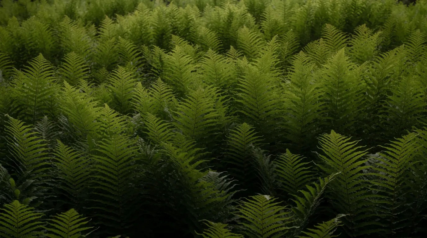 Fern wall texture