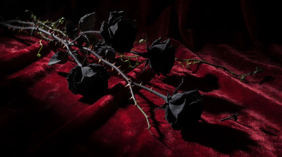 Rose and thorns still