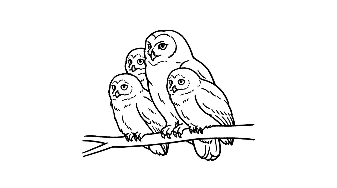 Owl family scene