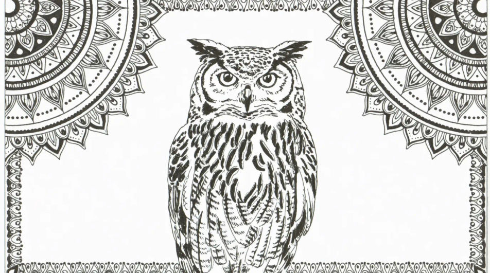 Mandala owl panel