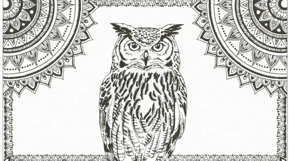 Mandala owl panel