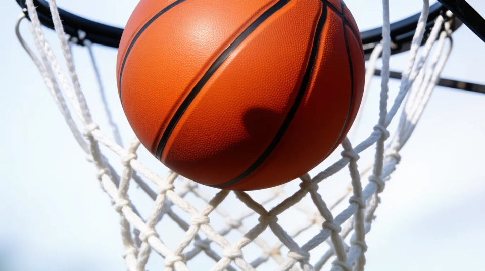 Ball and net close scene