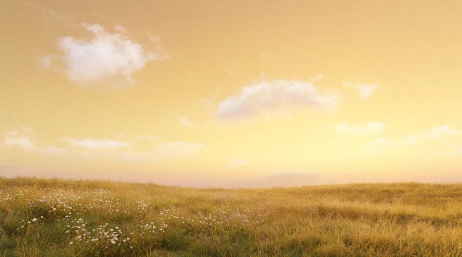 Golden meadow