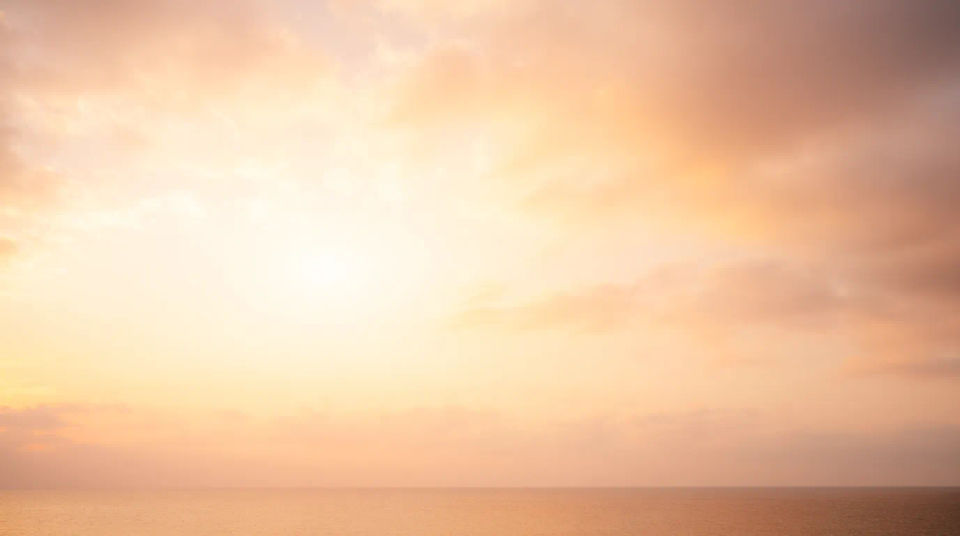 Sunset embrace
