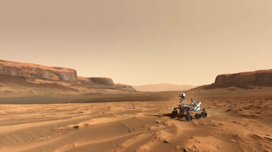 Rover on the plains