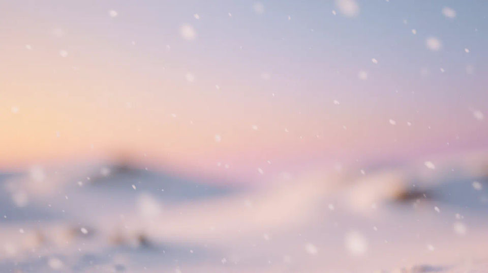 Snowfall dusk