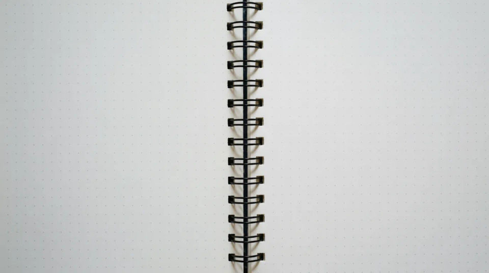 Doble página de planner con puntos