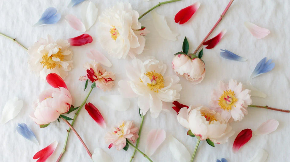 Blumen-Flatlay